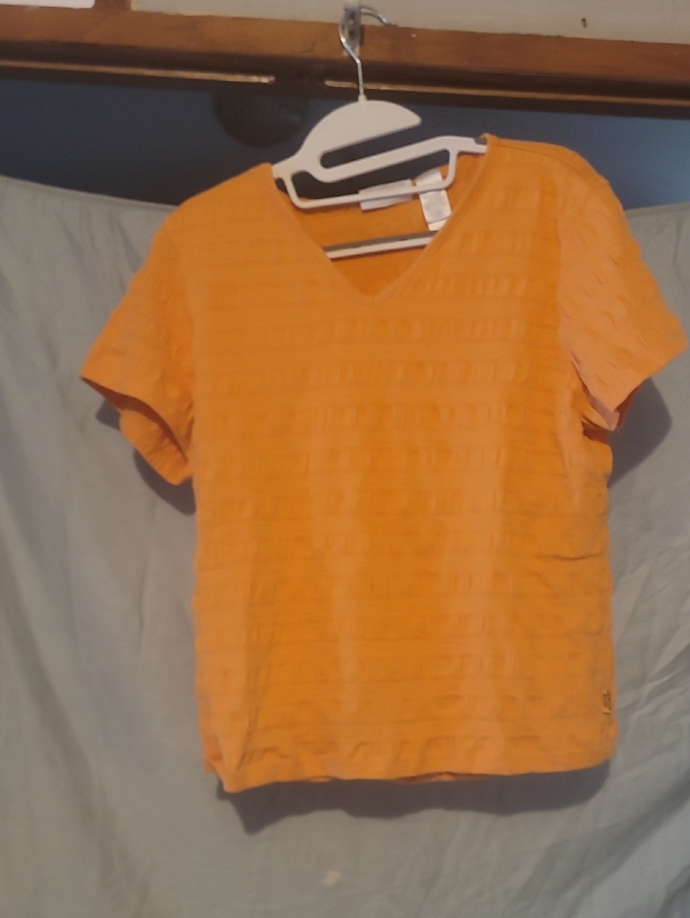 Liz Claiborne Orange Woman's V Neck
